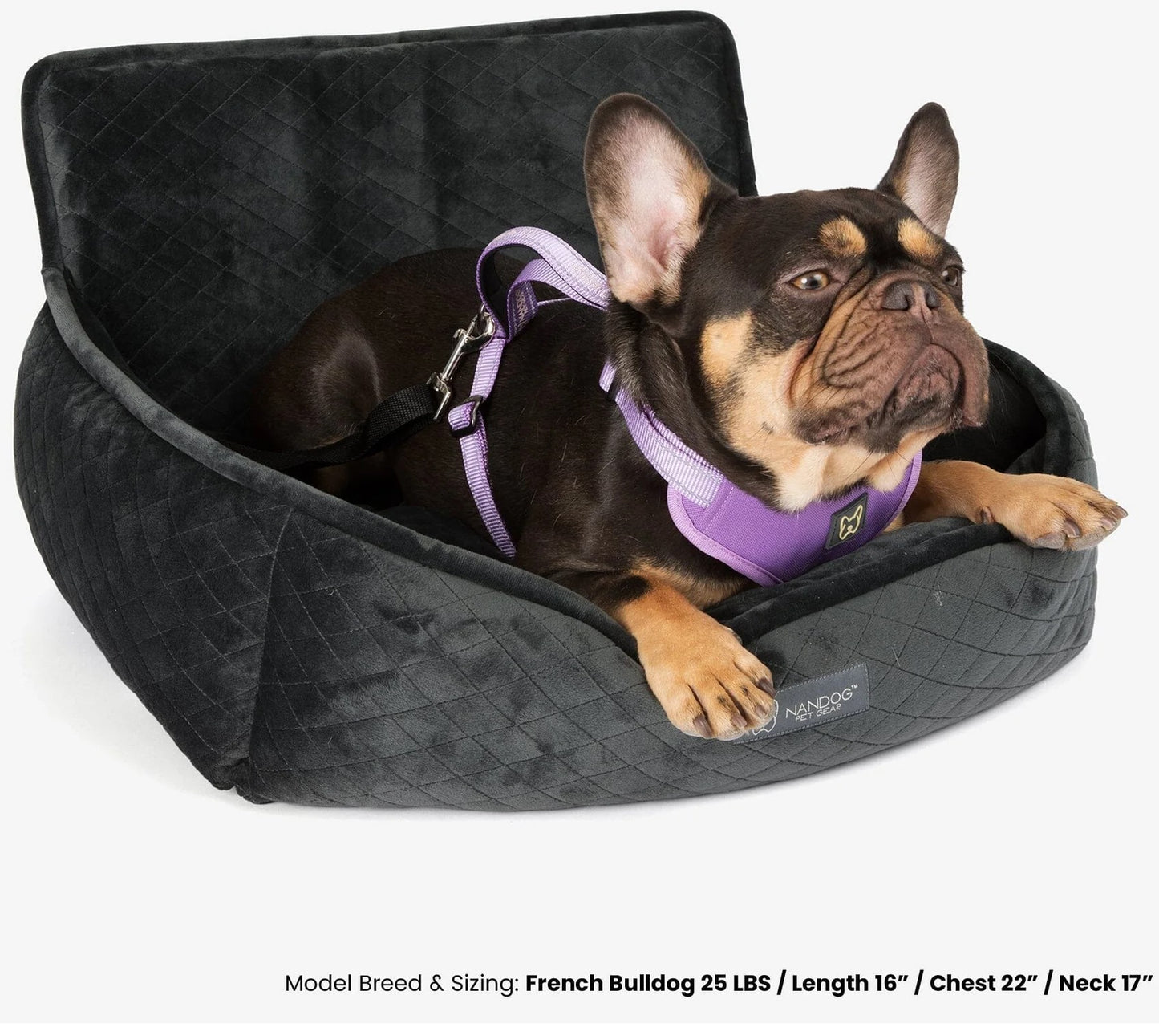 DOG CAR SEAT (DARK GREY) - LARGE