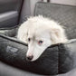 DOG CAR SEAT (DARK GREY) - LARGE