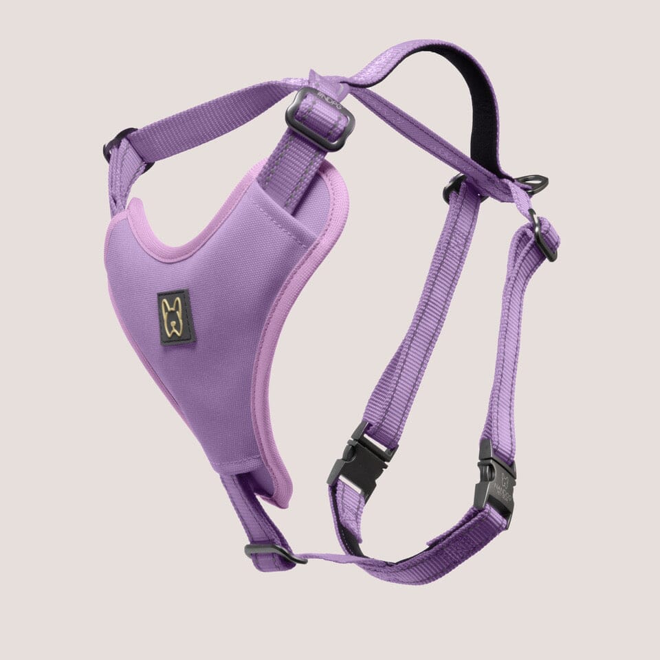 NEOPRENE SPORT DOG HARNESS