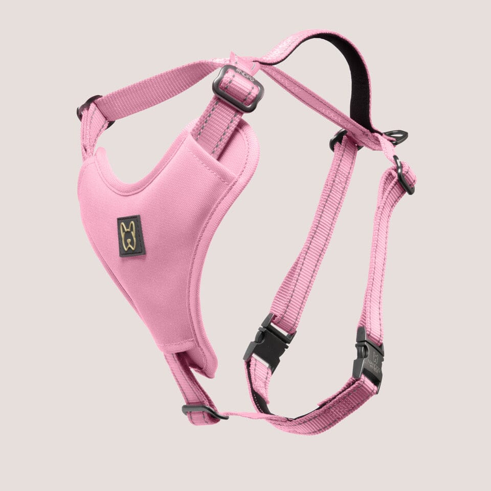 NEOPRENE SPORT DOG HARNESS